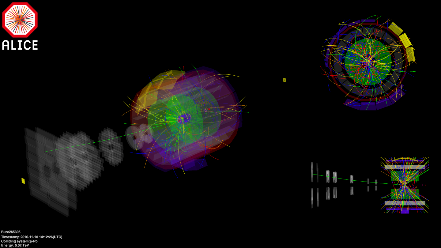 Lead ion and proton: Close encounters of the third kind