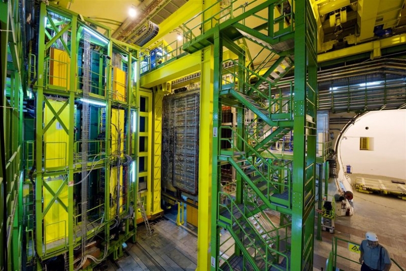 LHCb unveils new particles