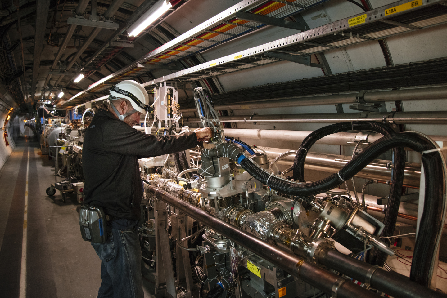 Odd gluon compounds may be lurking in protons