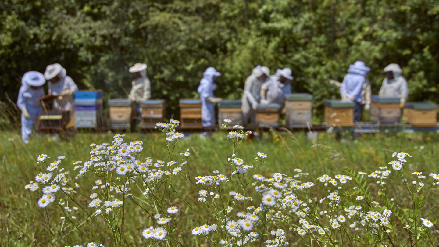 A nature-lover’s guide to CERN