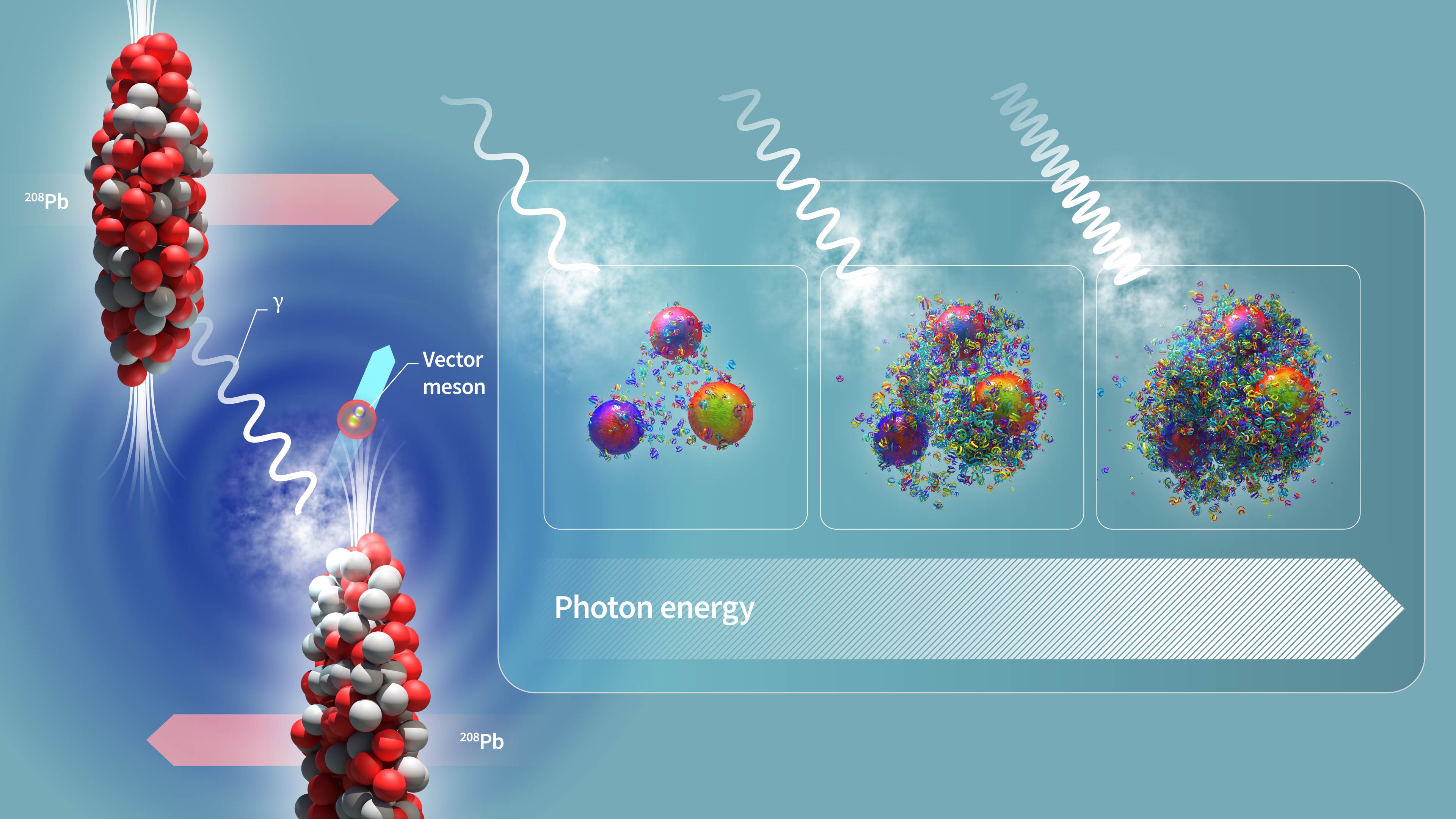 Illustration of an ultra-peripheral collision where the two lead ion beams at the LHC pass by close to each other without colliding. Photons emitted from one beam strike the other, producing electromagnetic interactions. The structure of the gluonic matter in the nucleus gets further exposed when probed by higher energy photons