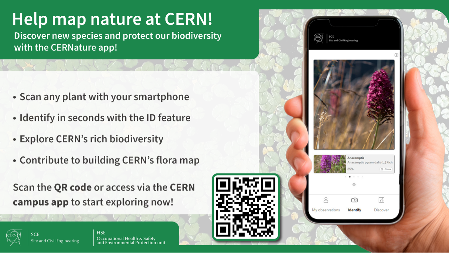 CERNature poster