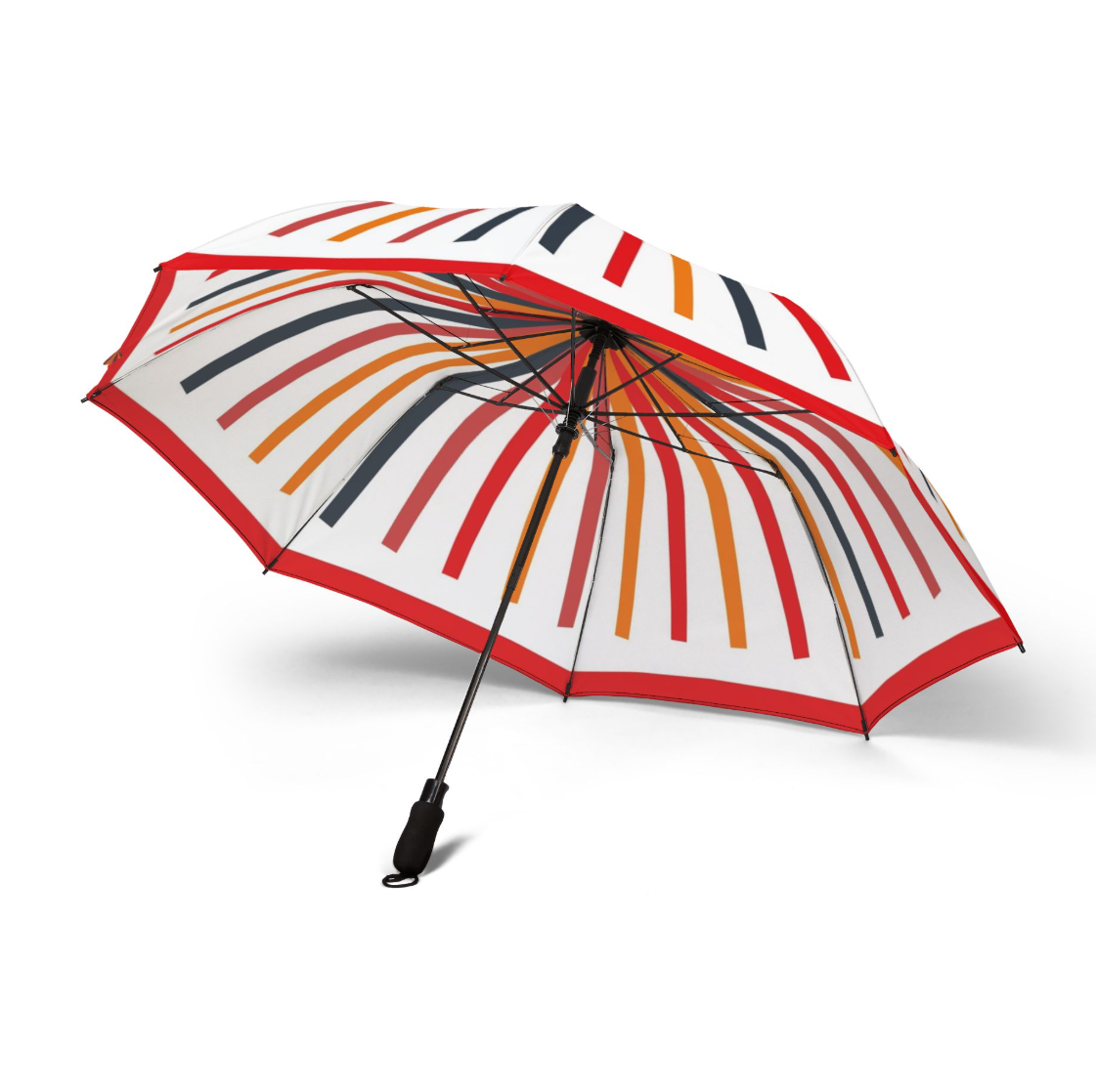 ALICE experiment umbrella