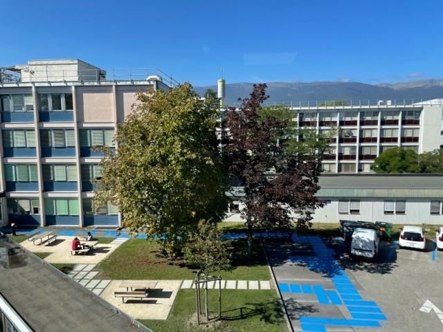 View of IT Square