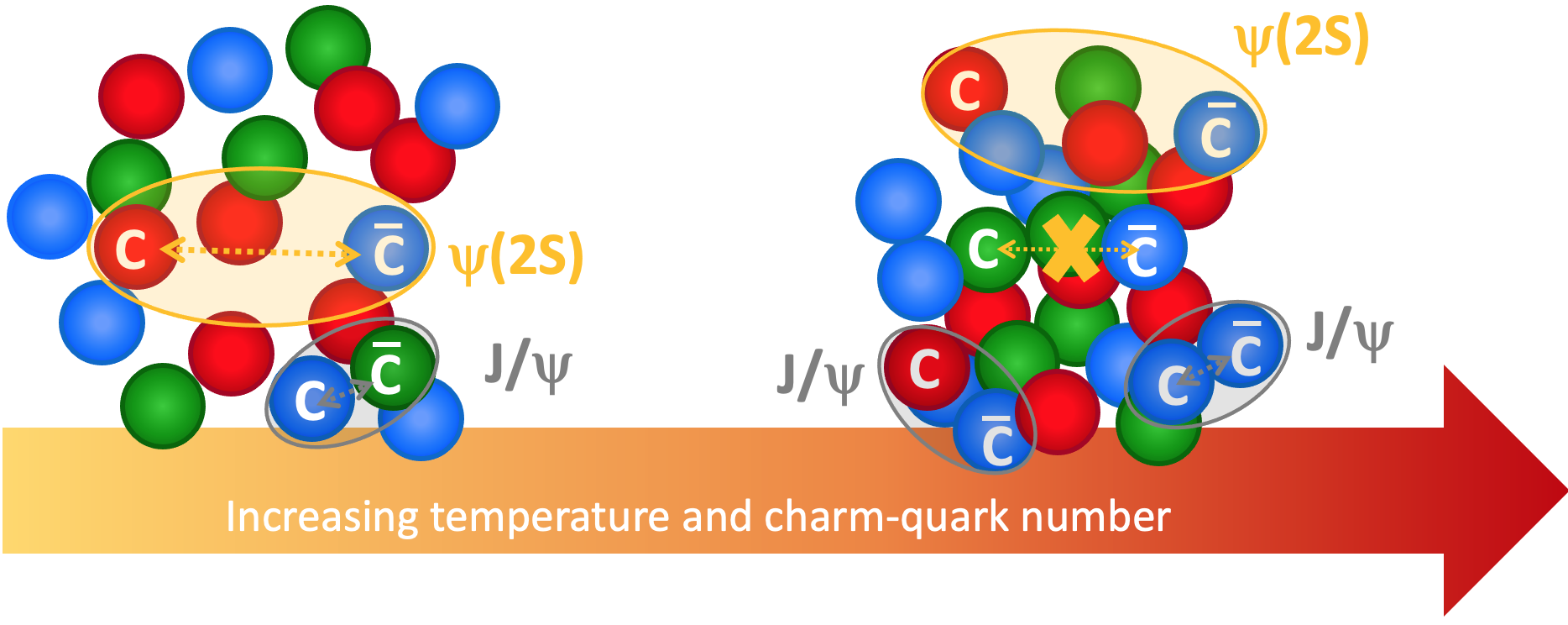 Illustration of the effect of quark–gluon plasma on the formation of charmonia in lead-nuclei collisions. 