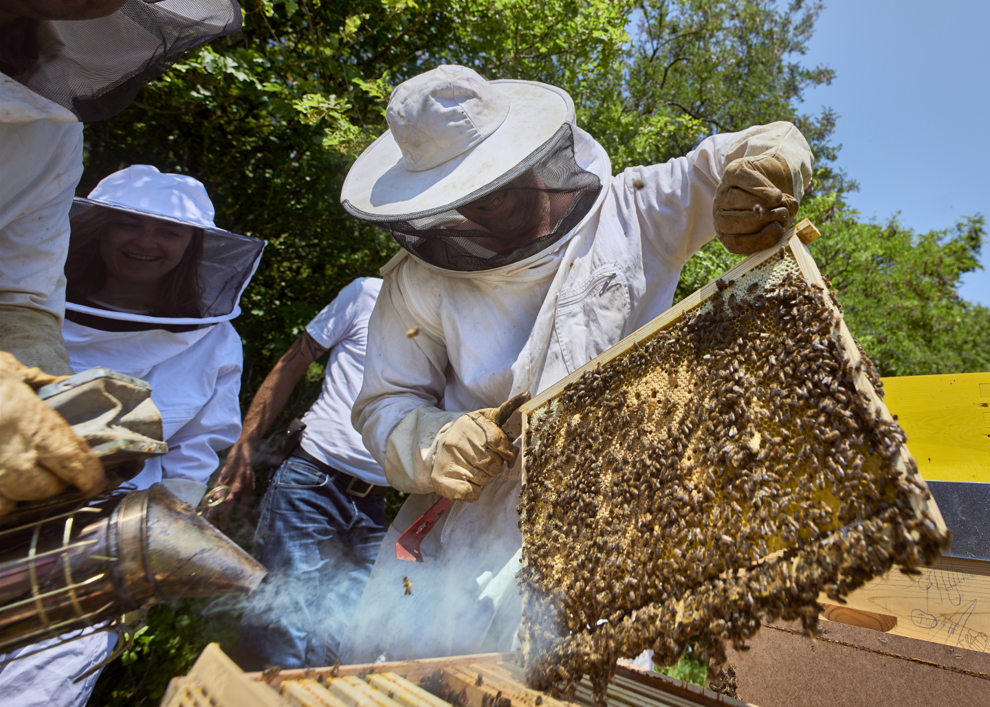 The “Nature et Abeilles” club.