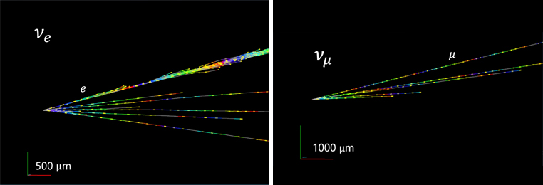 2 event displays of candidates for electronic neutrino and muonic neutrino