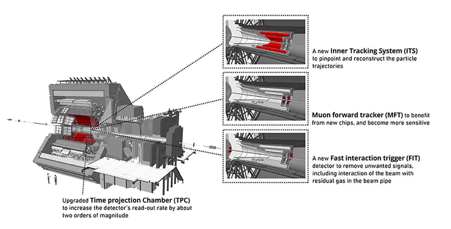 This diagram of the ALICE detector shows some of the maintenance and upgrade work in store in the coming two years