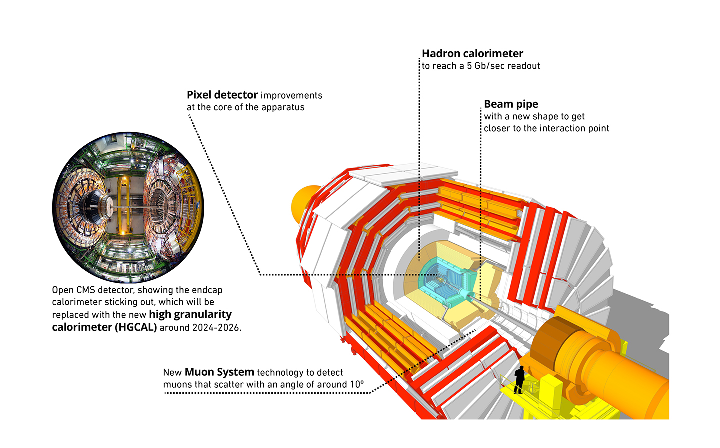 This diagram of the CMS detector shows some of the maintenance and upgrades in store over the next years.