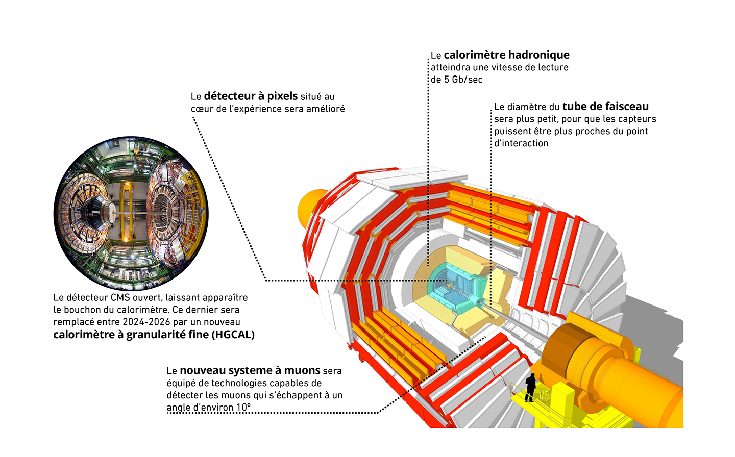 Cette représentation du détecteur CMS montre certaines des activités de maintenance et d’amélioration prévues pour les deux années à venir.