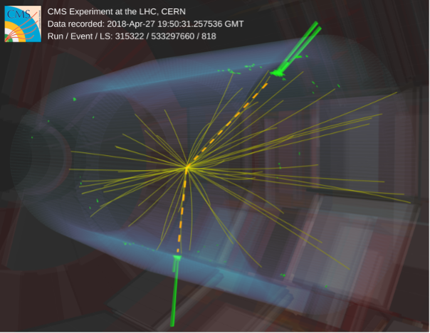 Event display showing two collimated bursts of light.